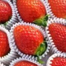 진철농장 이미지