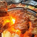 계고기집 이미지