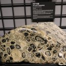 무주읍166 이미지