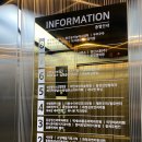 웰킨(일산화정점)