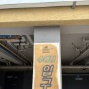 J.T팬시 | 한라산 일출을 위한 제주 여행_2일차 / 전지훈련(도두봉 수영장) / 태닝미피 나에게 오라