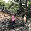 장수엄마 농장 이미지