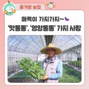 영롱농장 이미지