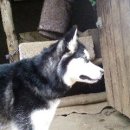 블랙화이트 이미지