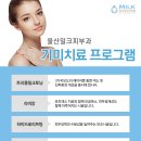 기미건