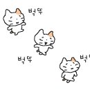 7th street(다) 이미지