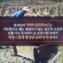 만만디 - 원주시 백간공원길 13-4 | 만만디