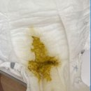 카레밥~~~ 맛나쥬? 이미지
