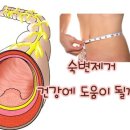 대장암 예방의 지름길, 대장내시경 검사가 궁금하다면? 이미지