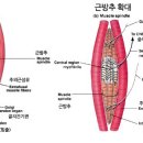 이유GYM 네이버블로그