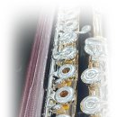 플룻 (B)? 이미지