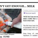 물고기익스프레스
