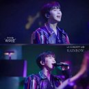 마이리틀콘서트 이미지