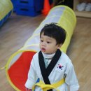 참조은태권도 이미지