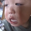 응도