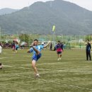 정동생활체육시설 이미지