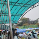 2024 하백 꿈끼한마당 6학년 여자밴드 이미지