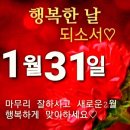 1,31. 사설 이미지