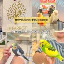 리프패럿 롯데마트 광복점 | 부산 아이와 가볼 만한 곳, 리프패럿 롯데마트 광복점 체험 후기