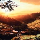 구름속의 산책 이미지