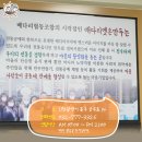 배다리협동조합 이미지