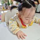 1·3 달고식품 | 이유식의자 하이체어 싸이벡스 레모 3-in-1 추천 8개월 한달사용 솔직후기