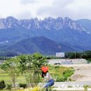 카페델피노 인근 이미지