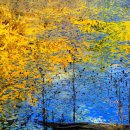 금산다락원 청산아트홀 이미지