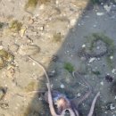 안면도 빨강펜션 이미지