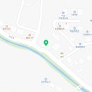 와이지포레스트