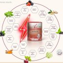 성암생활체육관 체육관 이미지