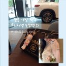 헬로빈스 | [백꾸] 챠챠의 샤넬 도빌백 &amp; 롱다리 키티 키링 | 스컬판다 크라이베이비 라부부 | 장원영 김혜수 지수...