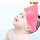 버드시아 이미지