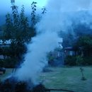 전국민박 이미지