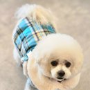 오늘도 예쁜 그루밍 이미지