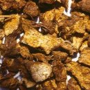 본초한의원 이미지