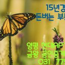 365부동산합동공인중개사사무소 이미지