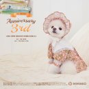 카페미밍코 이미지