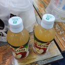 만물백화점 | 동인천 도깨비 만물경매장 꿀잼관전후기 ㅋㅋㅋ