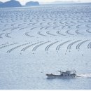 개매기체험장 이미지