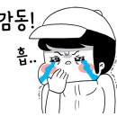 청솔횟집 - 홍천군 연봉서로 43 | 청솔횟집