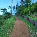 서생포왜성주차장 | 임진왜란 중 일본이 축조한 왜성 서생포왜성 방문 후기