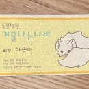 겨울나는나비 동물병원 이미지