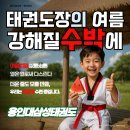 용인대삼성태권도 이미지