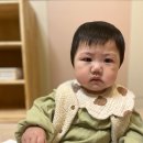 열매몬테소리어린이집 | 울산 더위즈 영재교육 놀이학원 입학 후기 0세(2세)