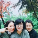 강씨봉자연휴양림 공중화장실 이미지