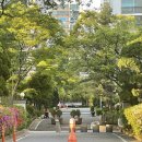 09공인중개사사무소 이미지