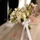 2349 | W11. 에밀리스튜디오 촬영 후기, 준비물, 웨딩촬영시안