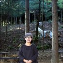 레드폭스 이미지