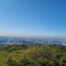 시루봉1농장 이미지